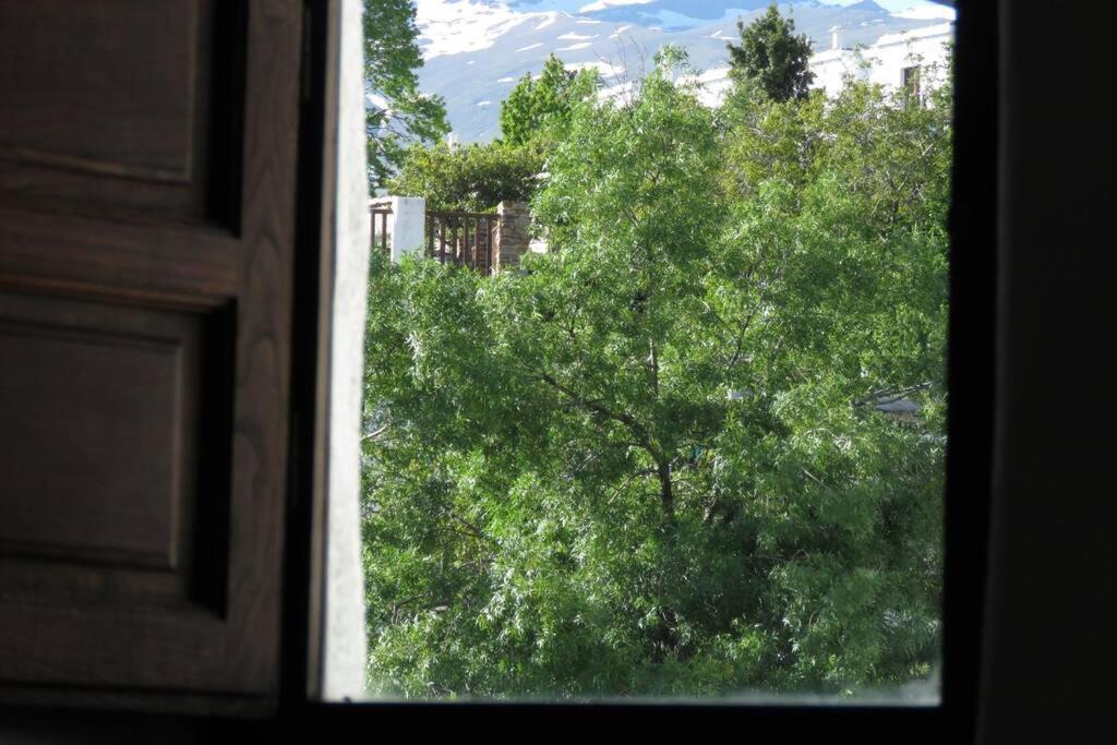Casa La Solea. Vistas Al Pueblo Y La Sierra Villa Bubión Eksteriør billede