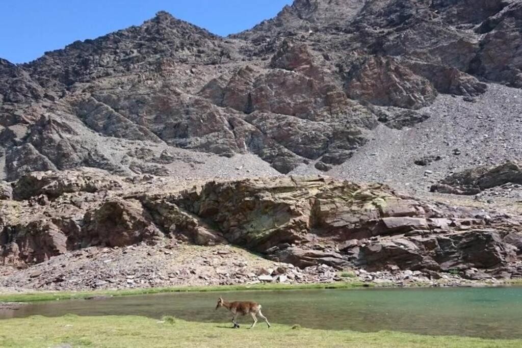 Casa La Solea. Vistas Al Pueblo Y La Sierra Villa Bubión Eksteriør billede
